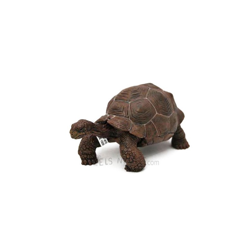 Figura Tortuga Galápagos Papo