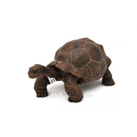 Figura Tortuga Galápagos Papo