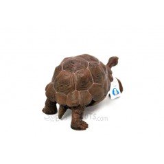 Figura Tortuga Galápagos Papo