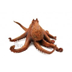 Figura Pulpo Papo