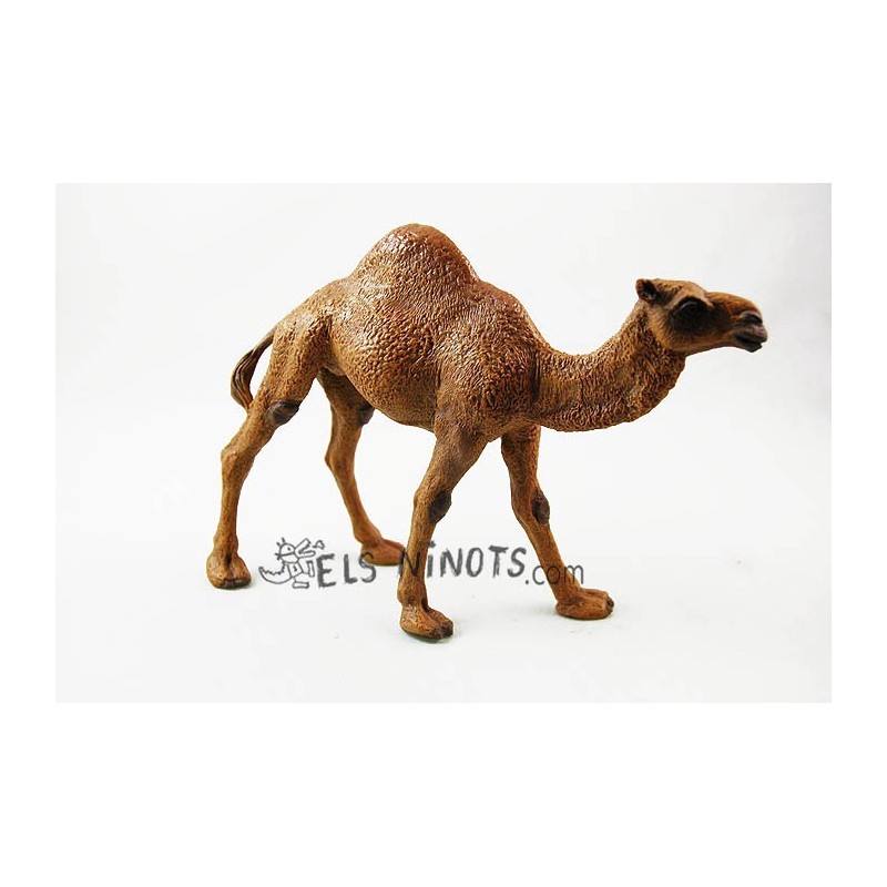 Figura Dromedario Papo