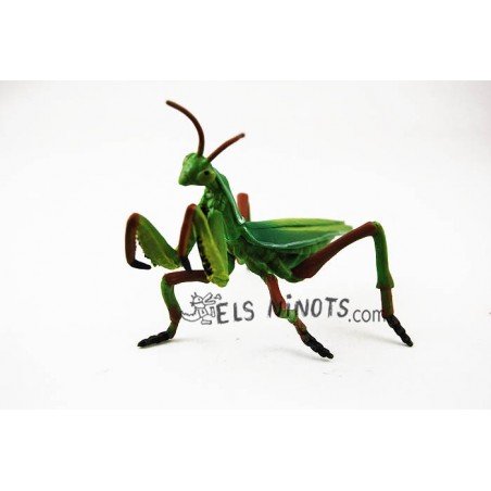 Figura Mantís Religiosa