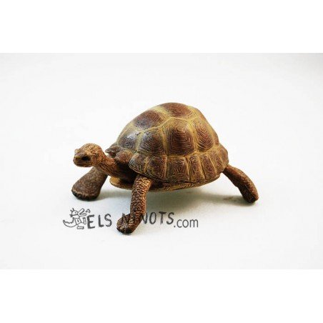 Figura de Tortuga Hermann