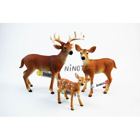 Figures Cérvols de cua blanca