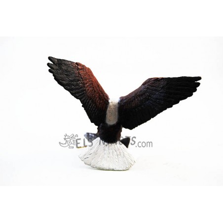 Figure Aigle Pêcheur d'Afrique