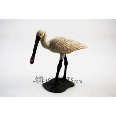 Figura Espátula Euroasiática