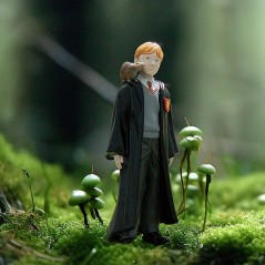 Figura Ron Weasley y Scabbers