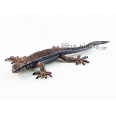 Figurine de lézard commun Papo