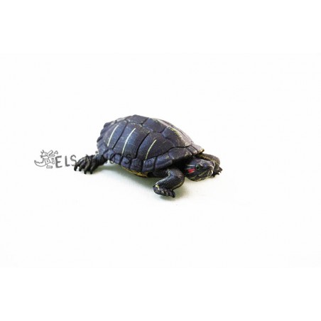 Figurine de tortue de Floride