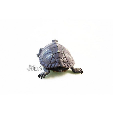 Figurine de tortue de Floride