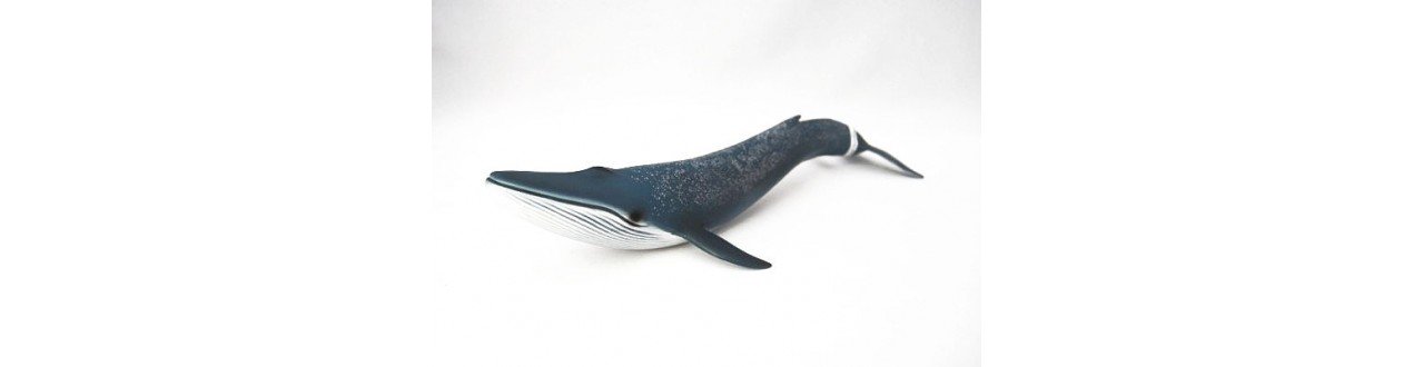 Figuras Animales Oceanía Schleich