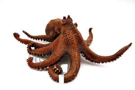 Figures Animals Papo