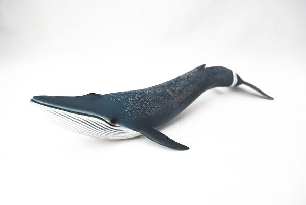 Figures Animals Oceania Schleich